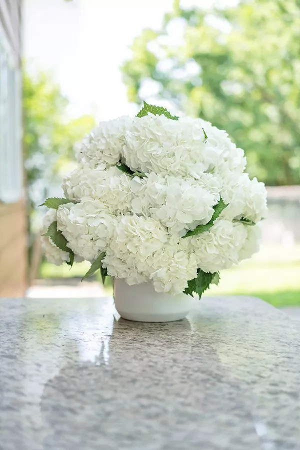 Captivating NYC Hydrangea Bouquet - Symbol of Grace and Beauty