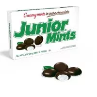 Close-up of Junior Mints candies, showcasing their round shape with a dark chocolate exterior and creamy mint filling.