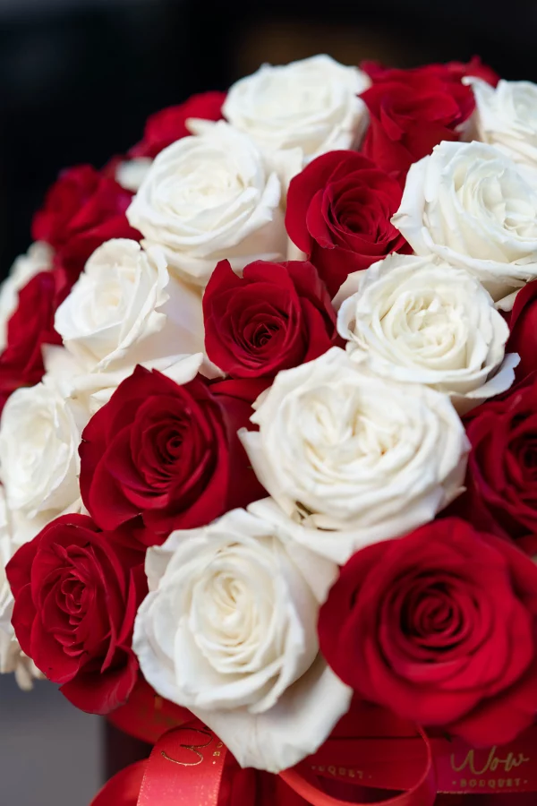 Red and white roses in festive formation.