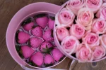 Romantic gift box open to display pink roses and chocolate-covered strawberries ideal for Valentine's surprises
