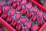 Valentine's Day themed chocolate strawberry and macaron set
