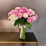 Bloom Peonies in a Vase with 50 flowers