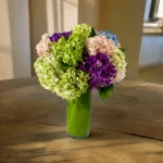 Colorful hydrangea flowers in a vase with greenery